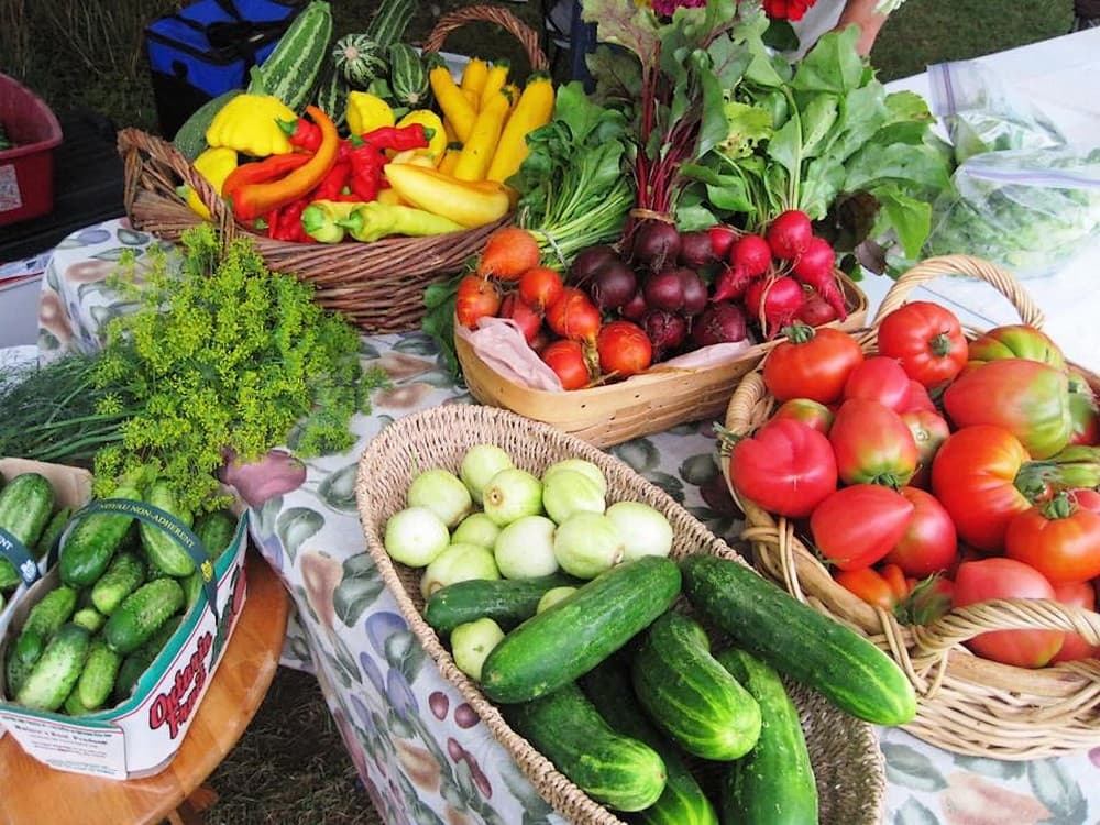 voulmentin-les-grenouilles-paysannes-legumes