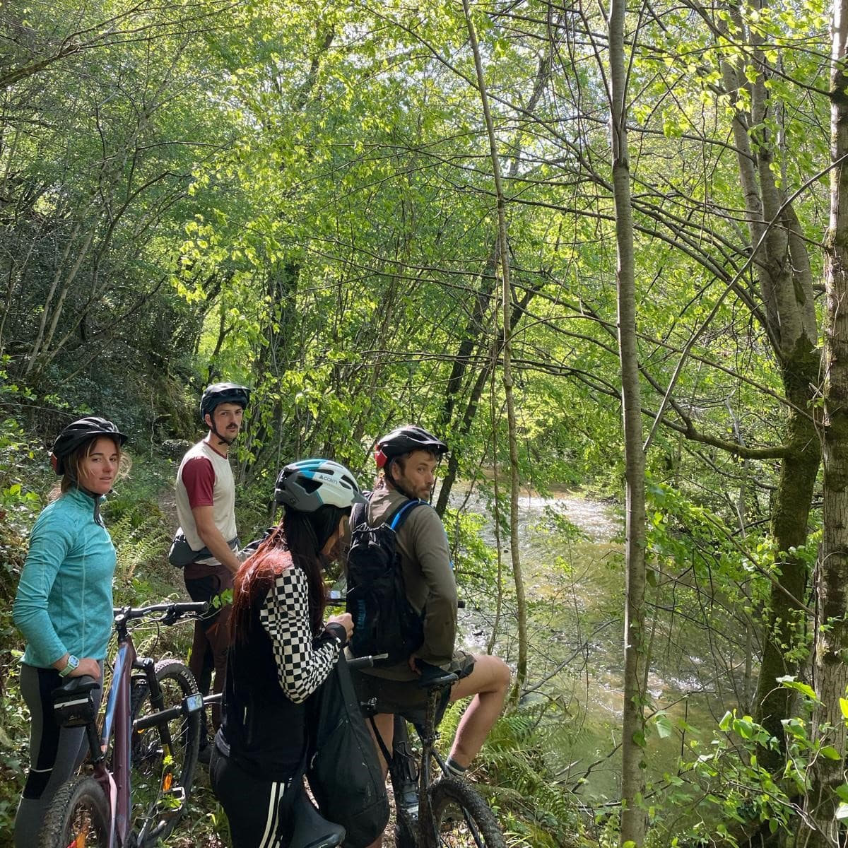 vtt feelout-1