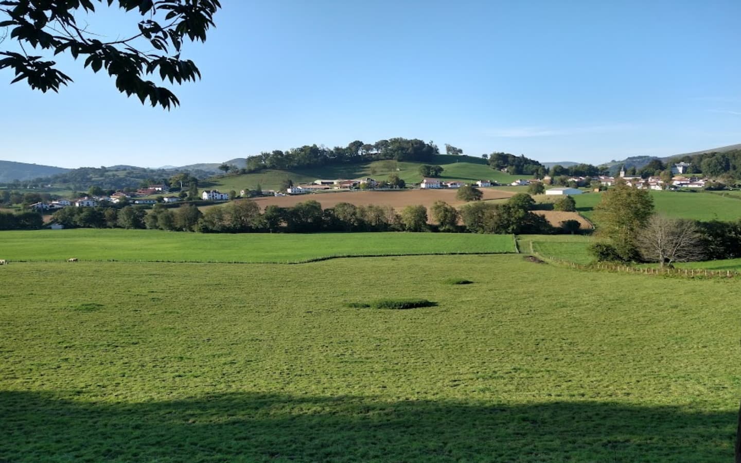vue 1440 900