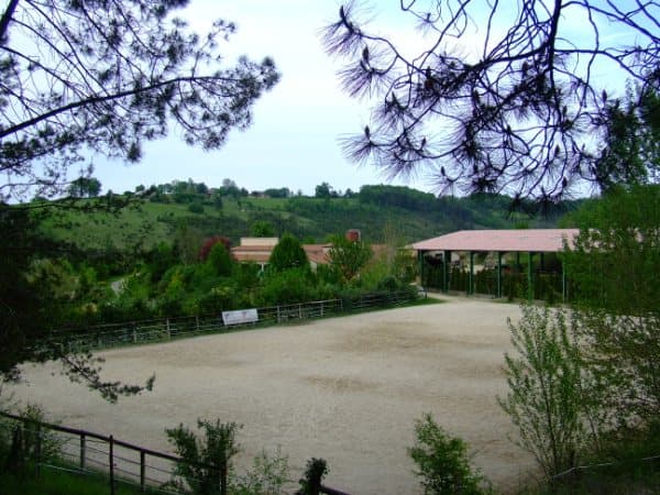 vue EDR