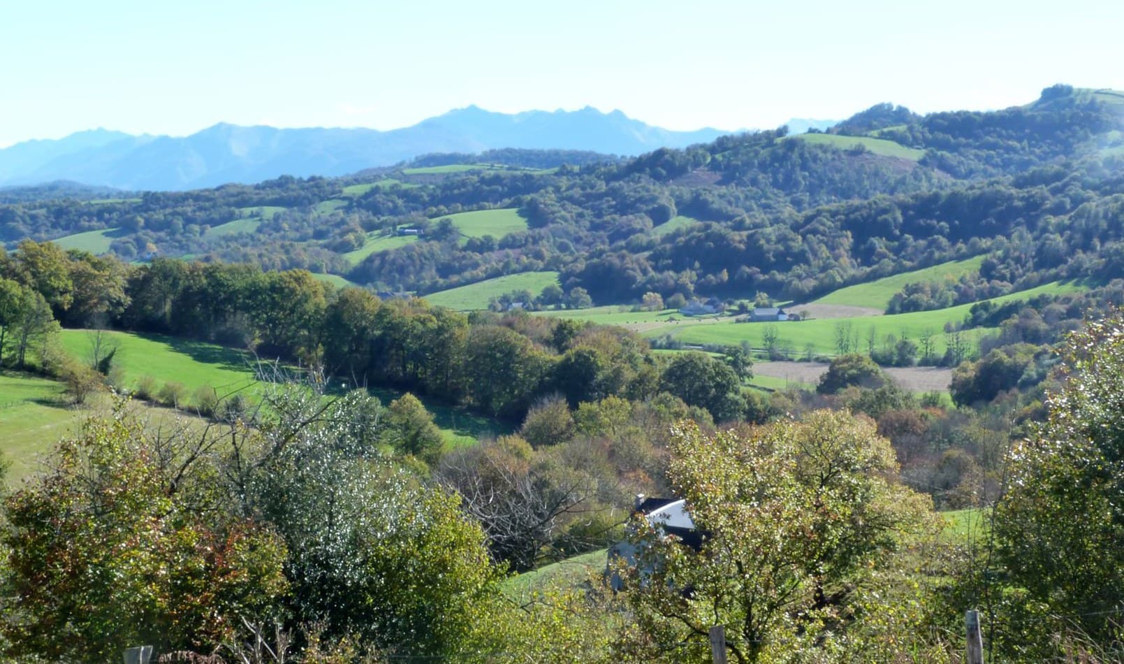 Vue Chilo