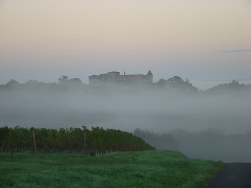 Vue-benauge