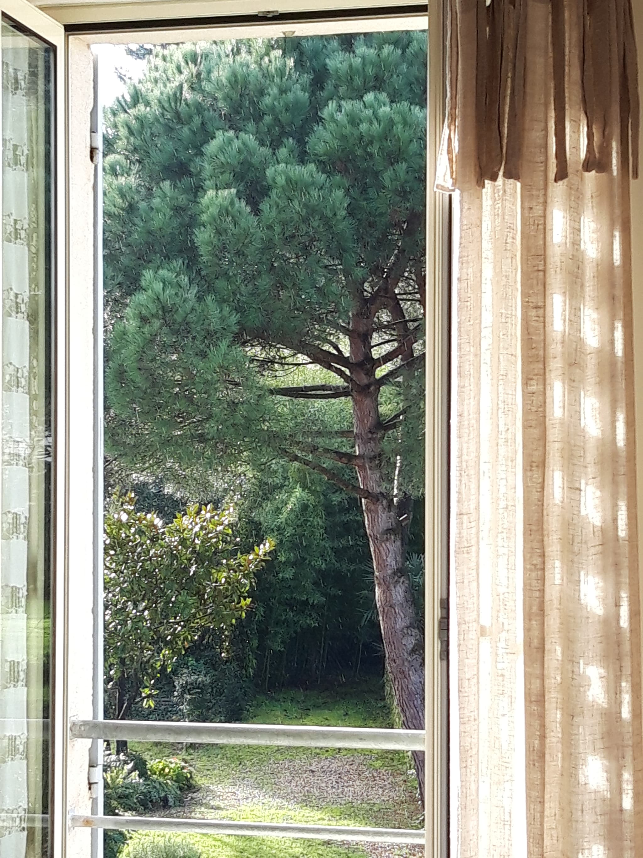 vue chambre 20 12
