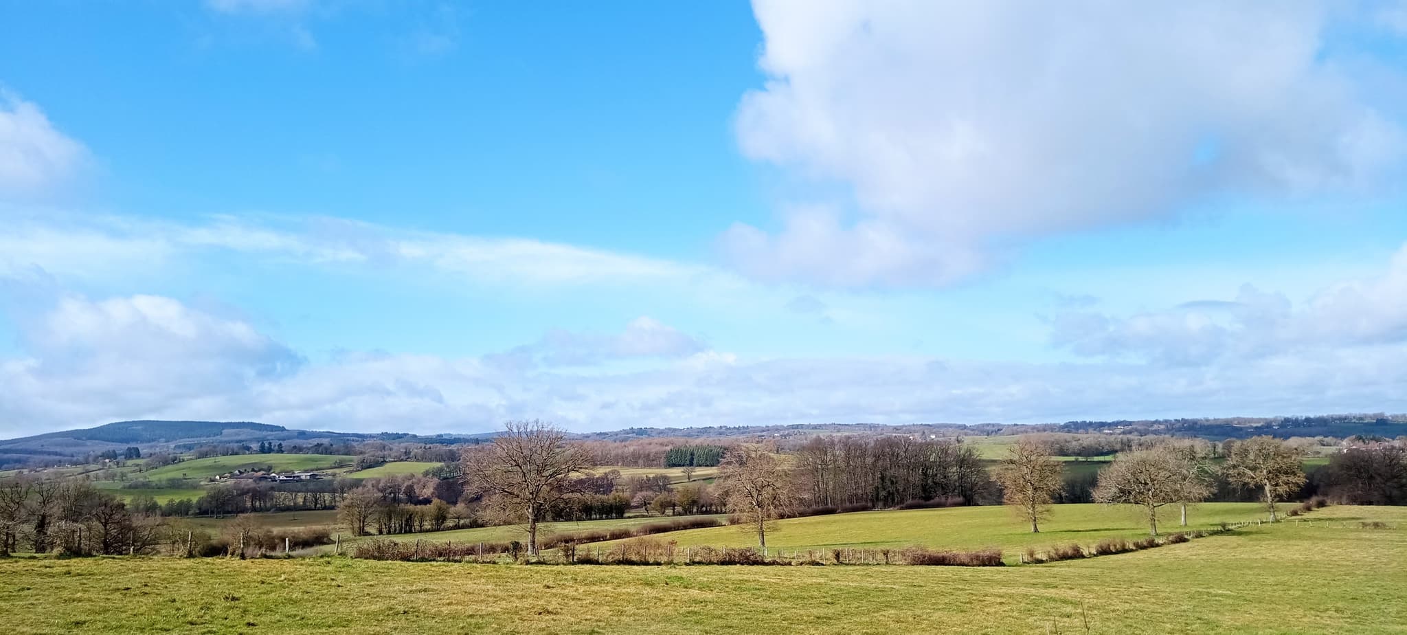 vue juste derrière le terrain