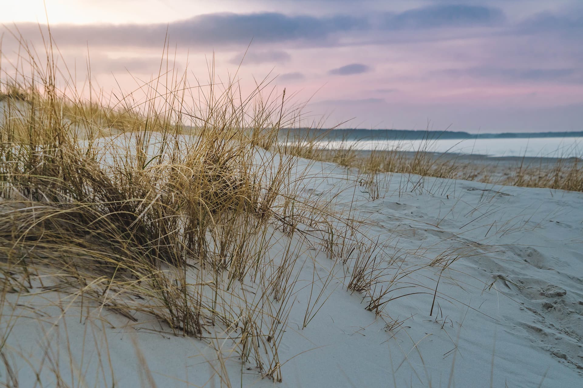 waldnob-baltic-sea-4095045_1920