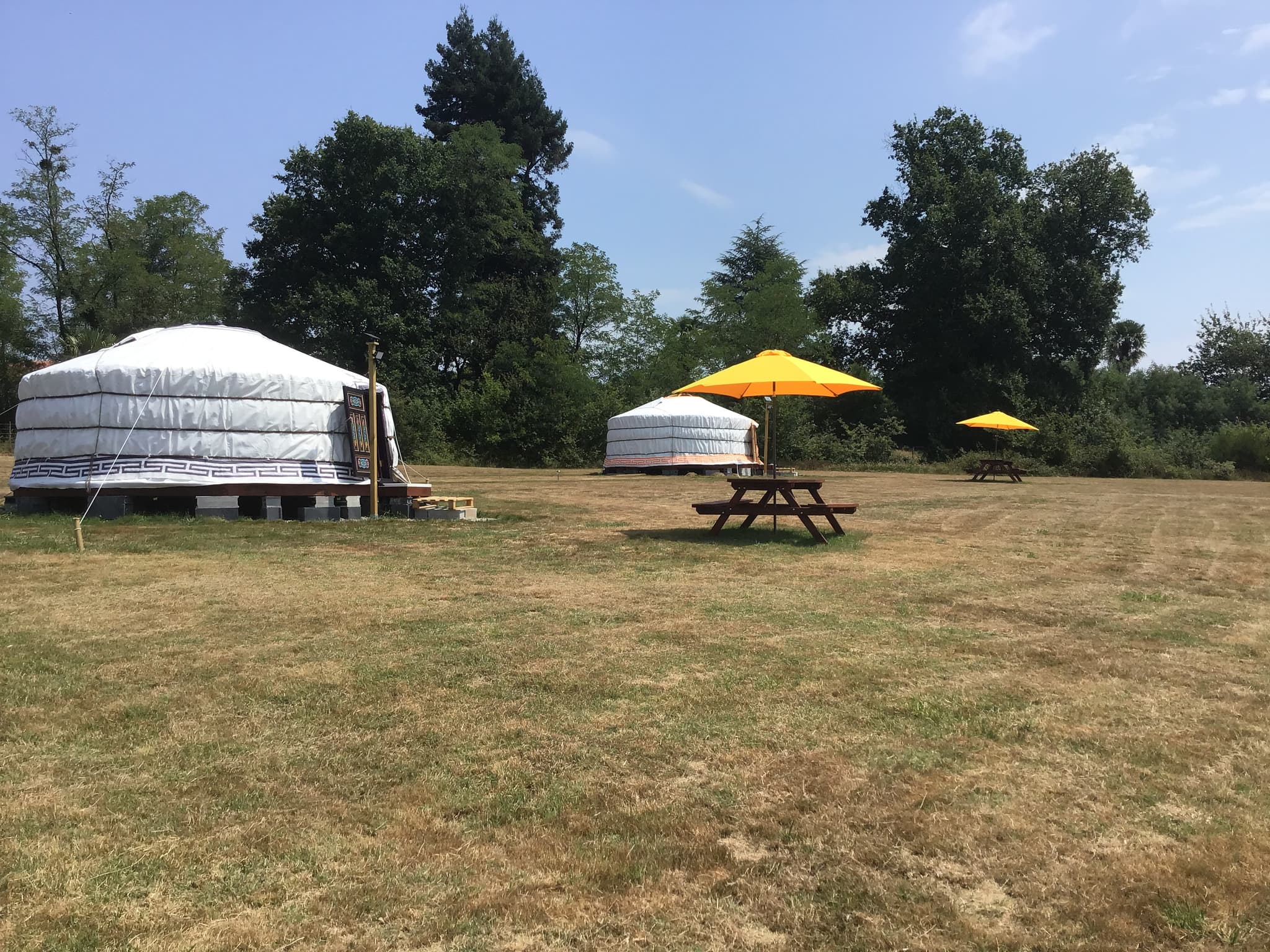 yourtes + parasols