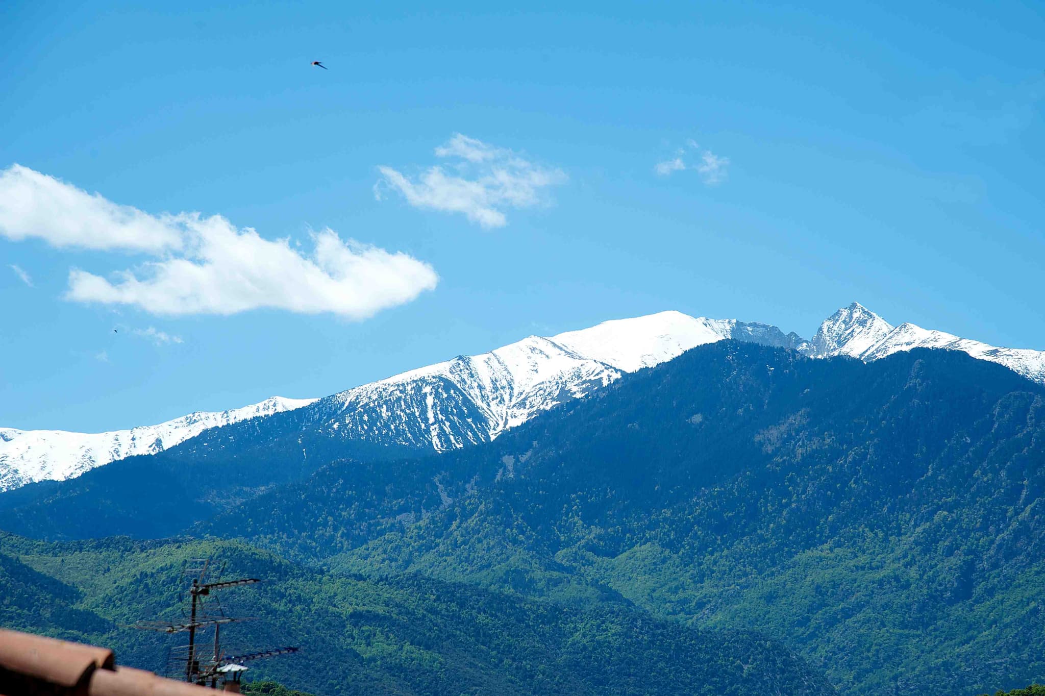 Vue sur le Canigó