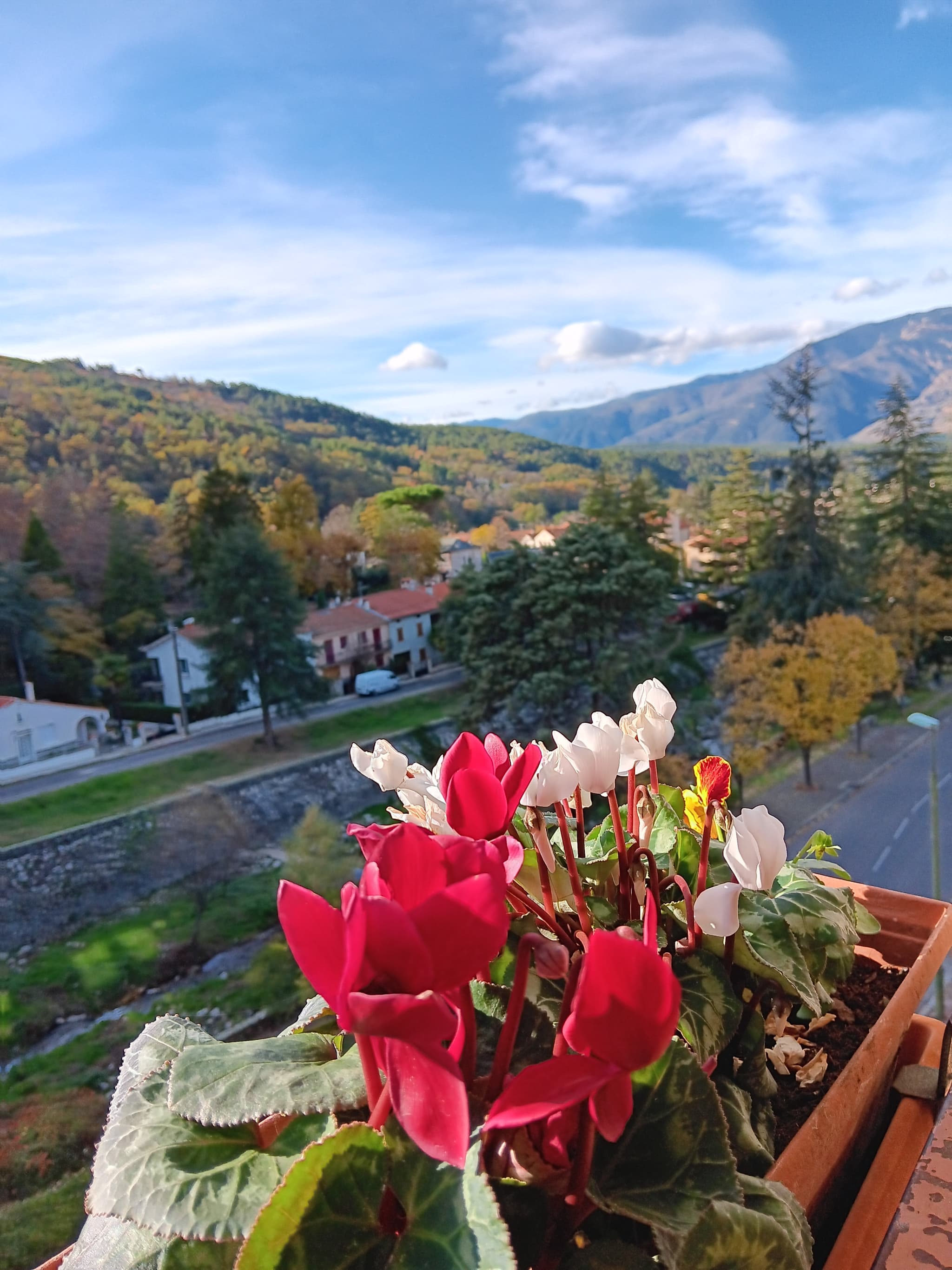 Vue depuis la loggia