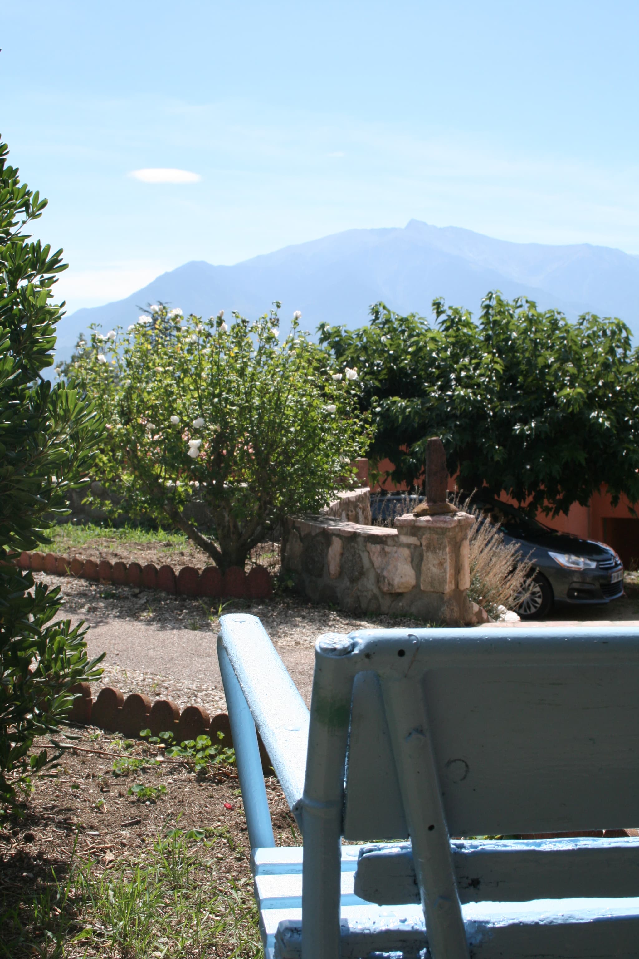 Jardin