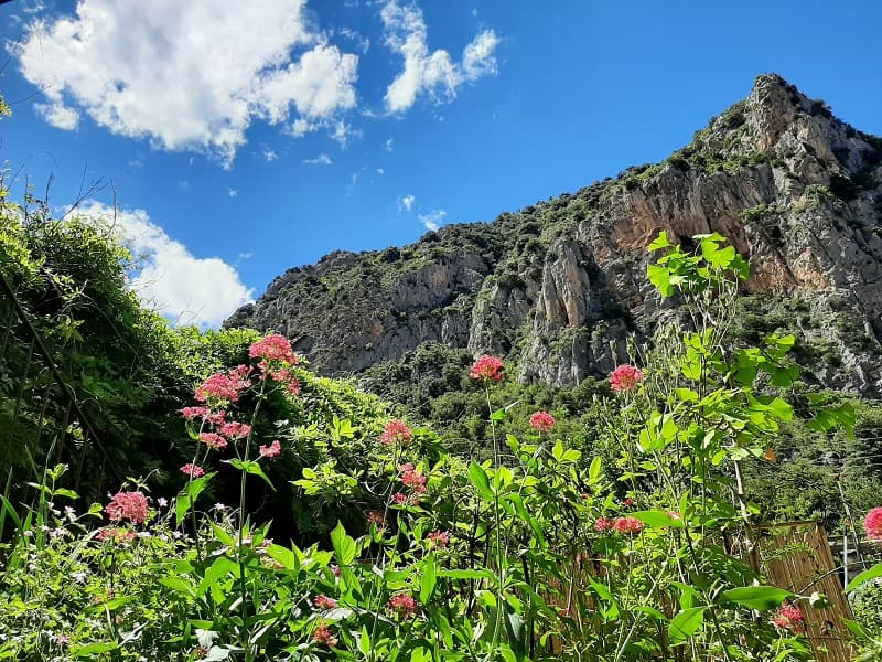 Vue sur les montagnes