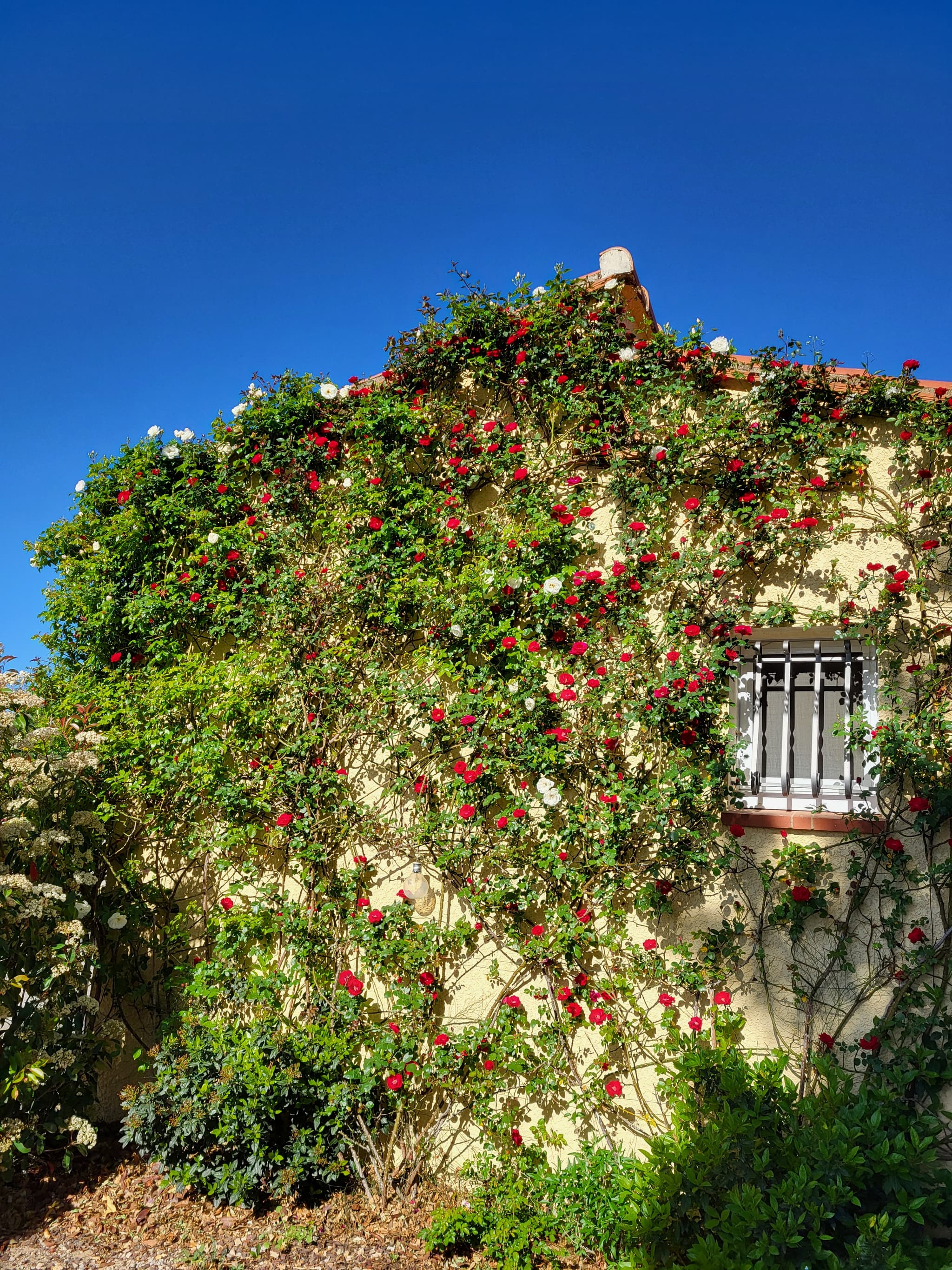 Aspres Thuir La Maison des Roses