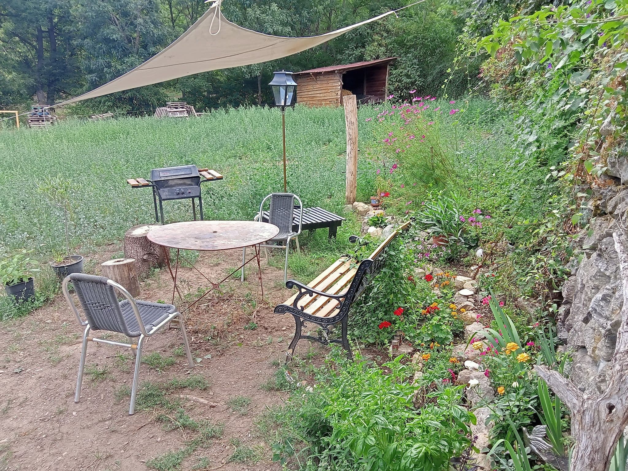 Terrasse