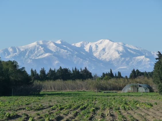La Rocanya
