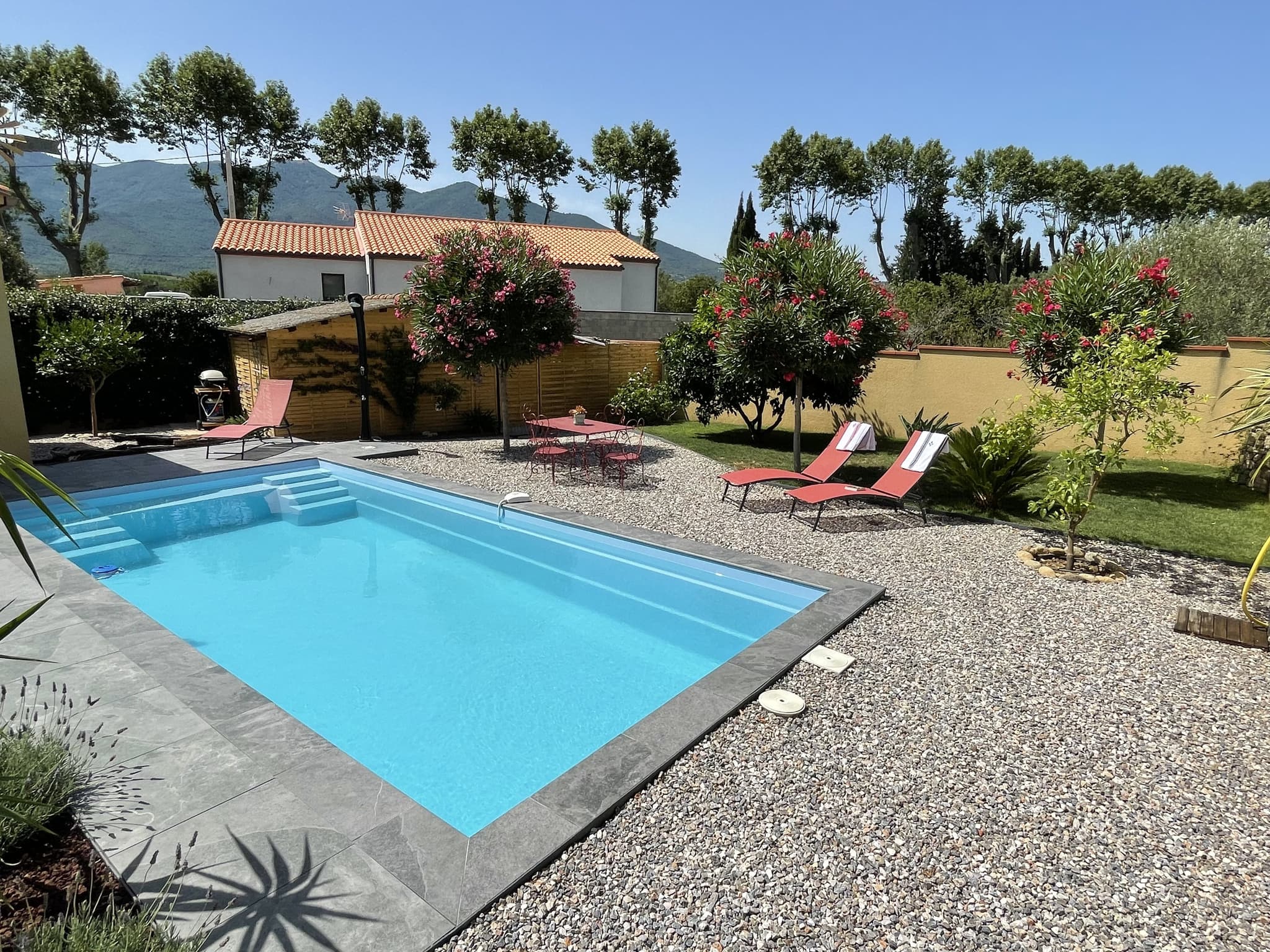 Piscine, jardin