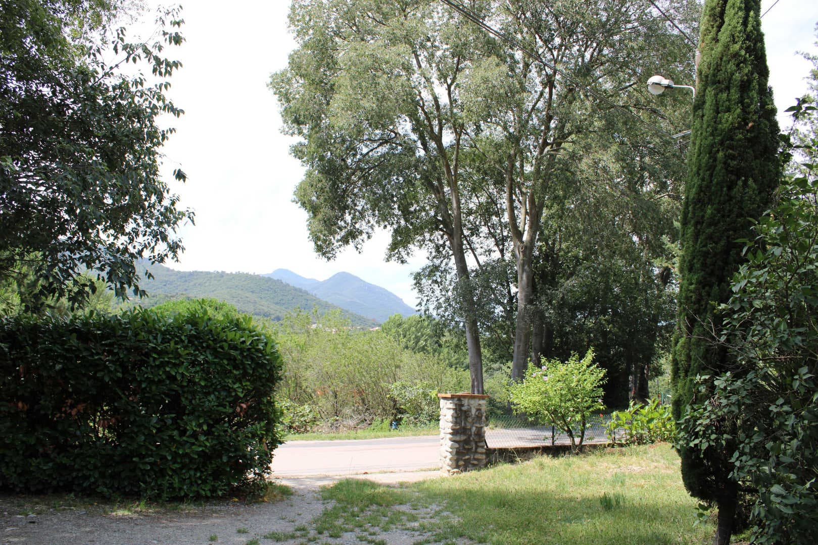 le cerisier_3