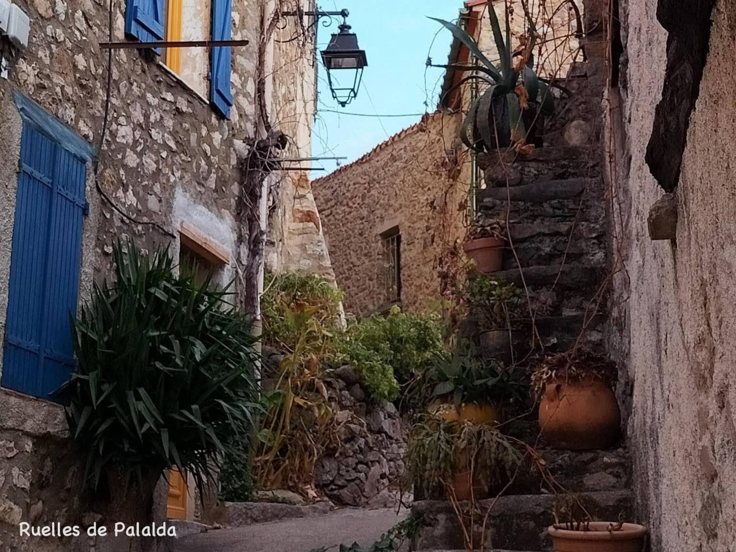 Chez Suzanne - Appartement Canigou_23