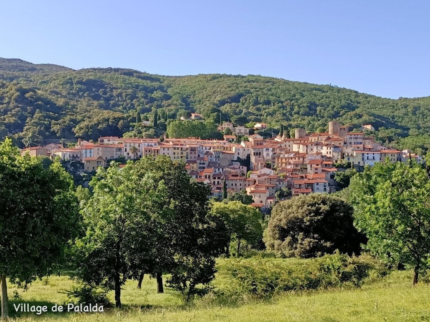 Chez Suzanne- Appartement Vallespir_2