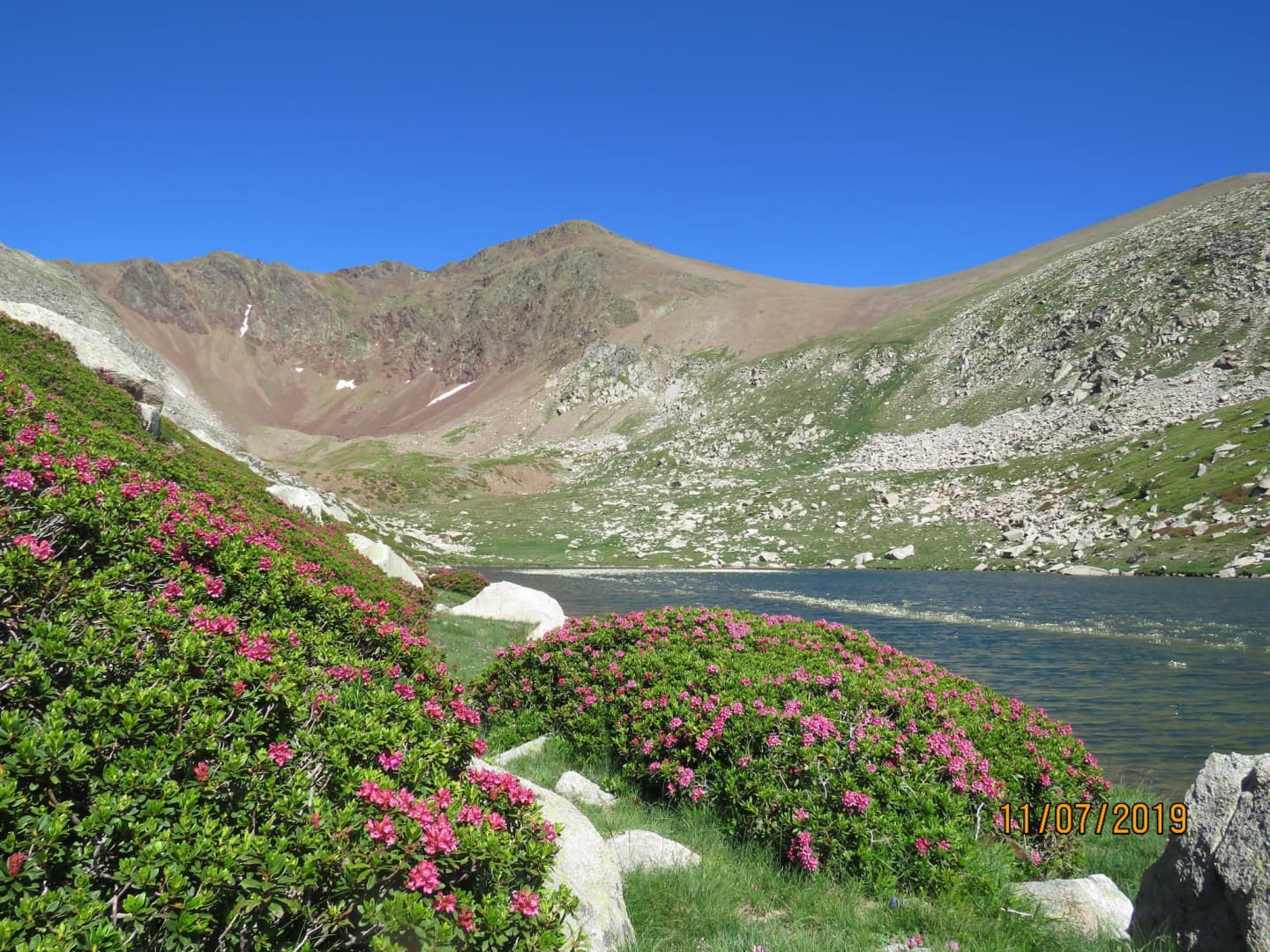 La marmotte_16