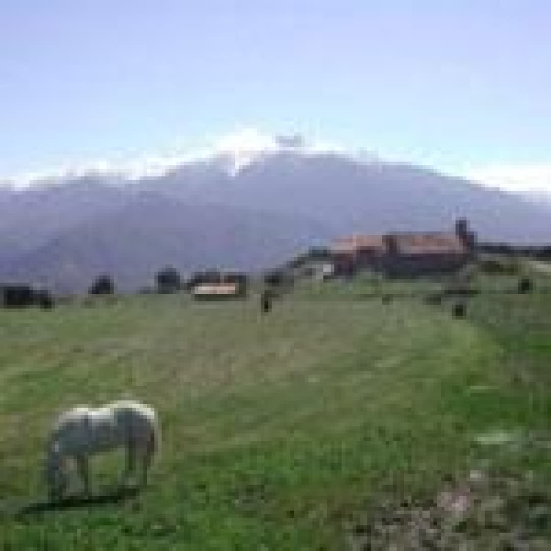 Ballestera_36