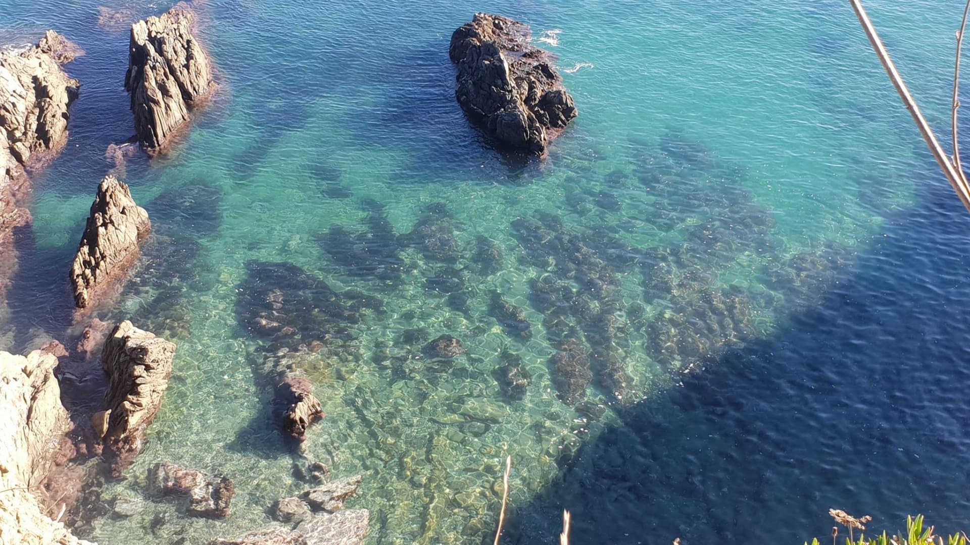 Méditerranée_22