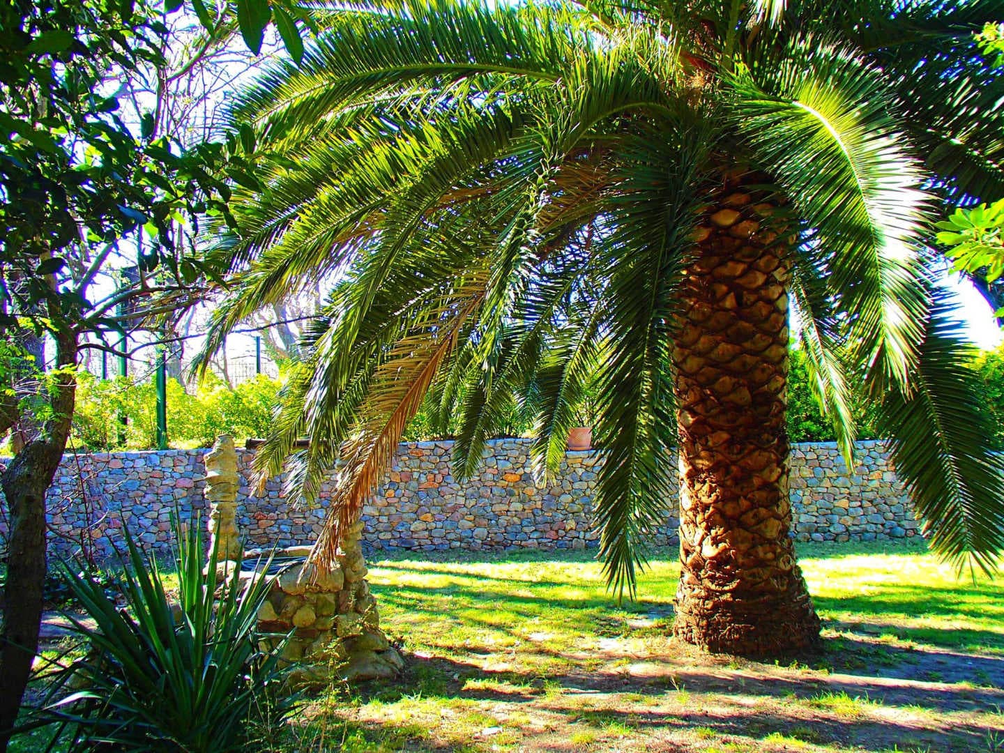 Gites de la Tour Pujol - Le tamariguer_20