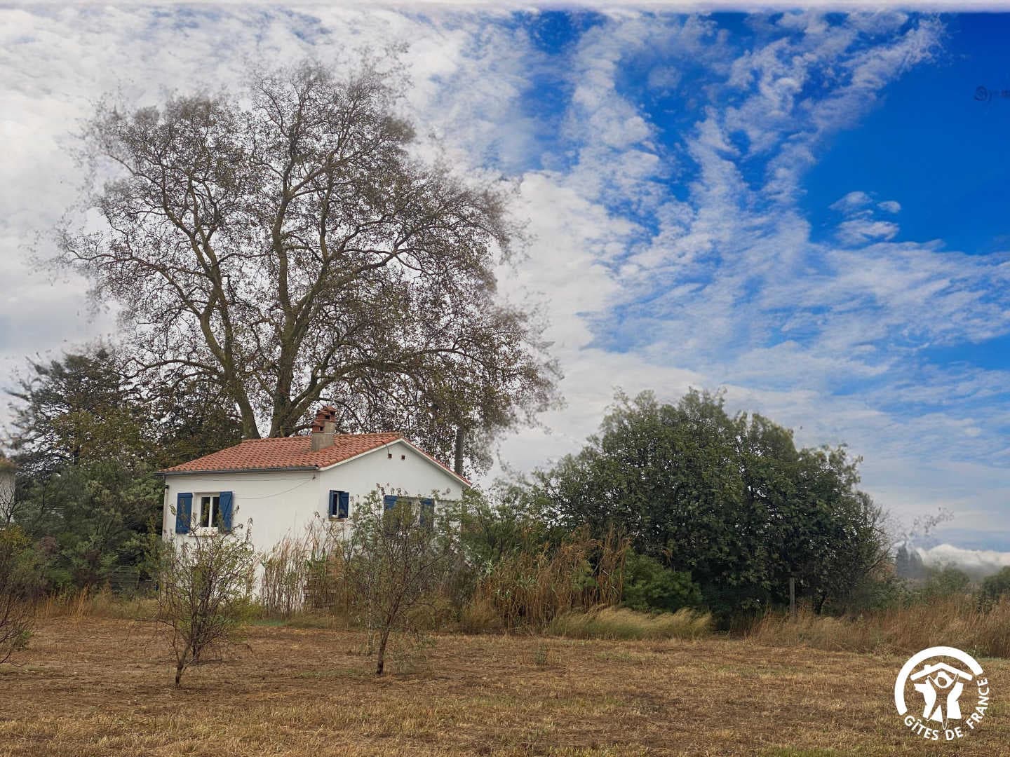 La maison bleue_9