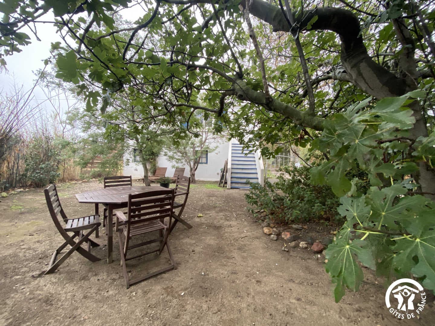 La maison bleue_14