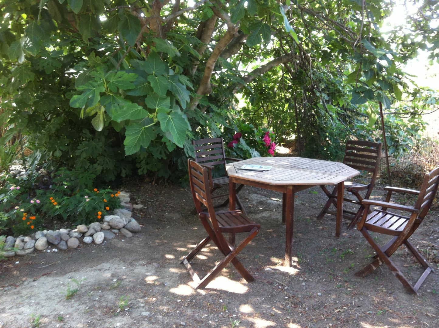 La maison bleue_11