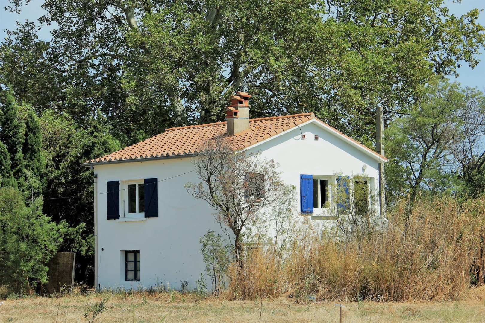 La maison bleue_2