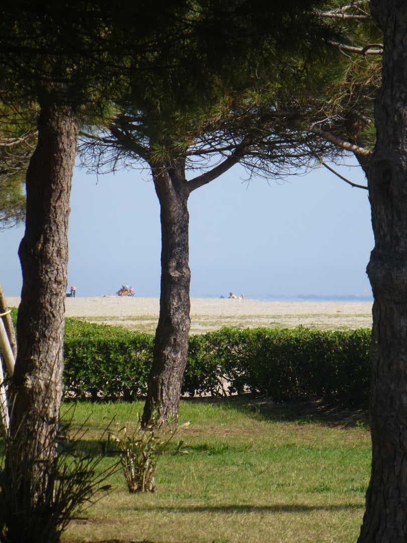 Argelès-Plage_21