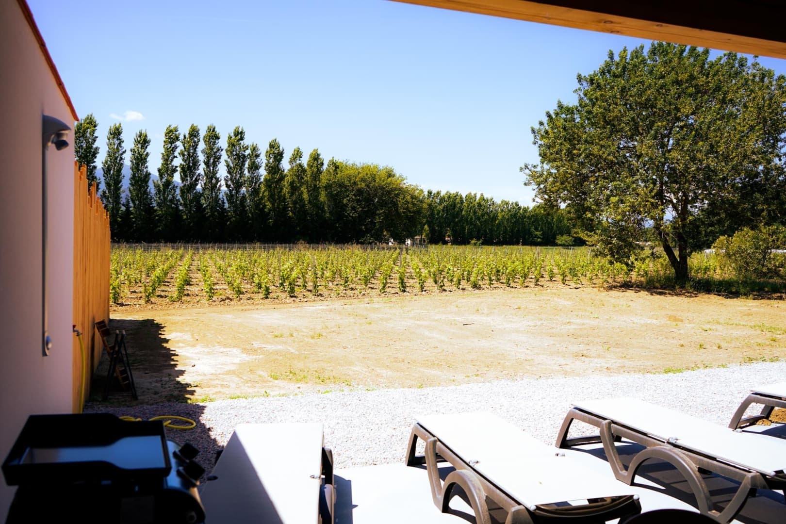 Grenache_14