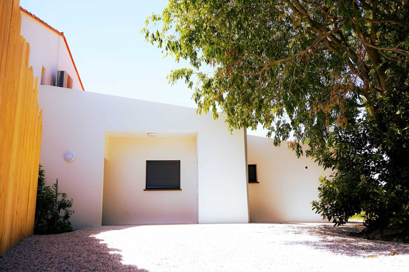 Grenache_2