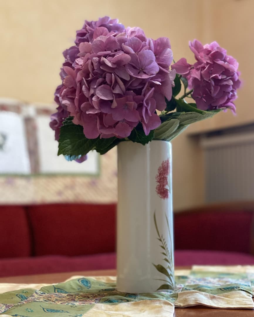 Hortensias_6
