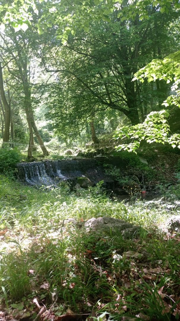 Les Deux Sources - Le Mas_36