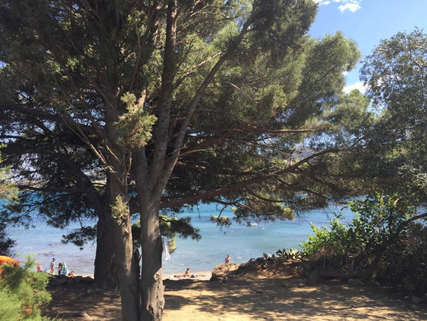 Les romarins_20
