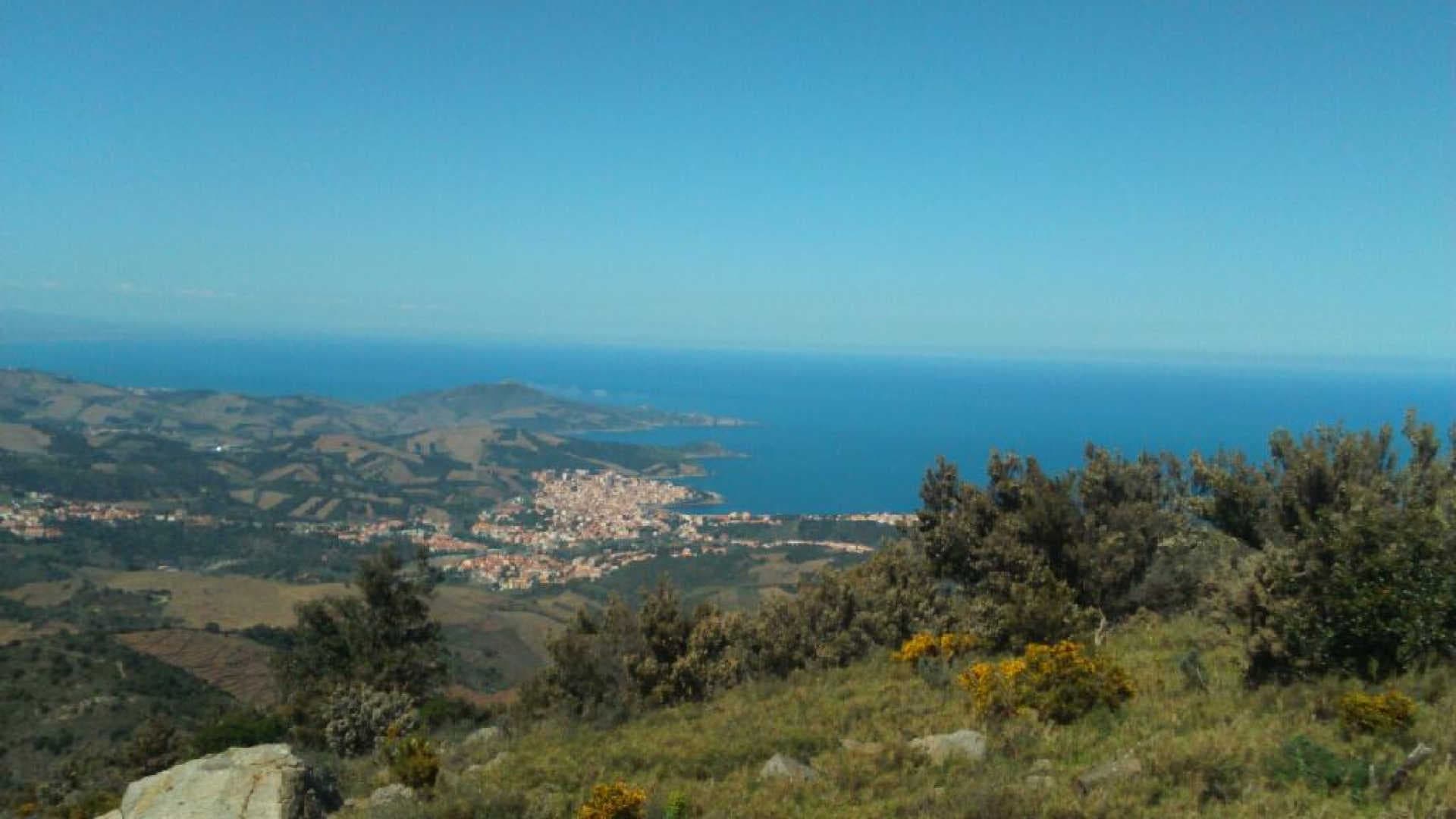 Les romarins_19