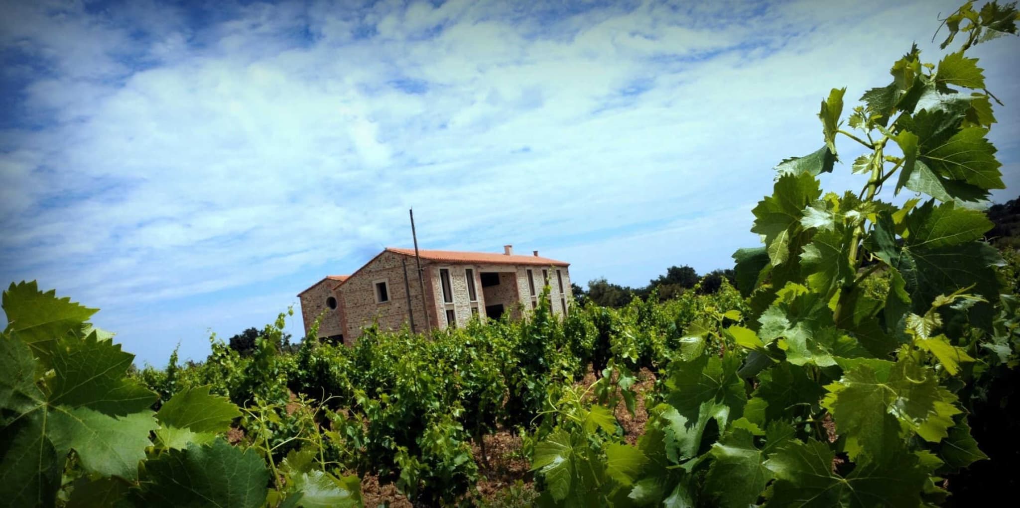 Le gîte du Mas Cambel_20