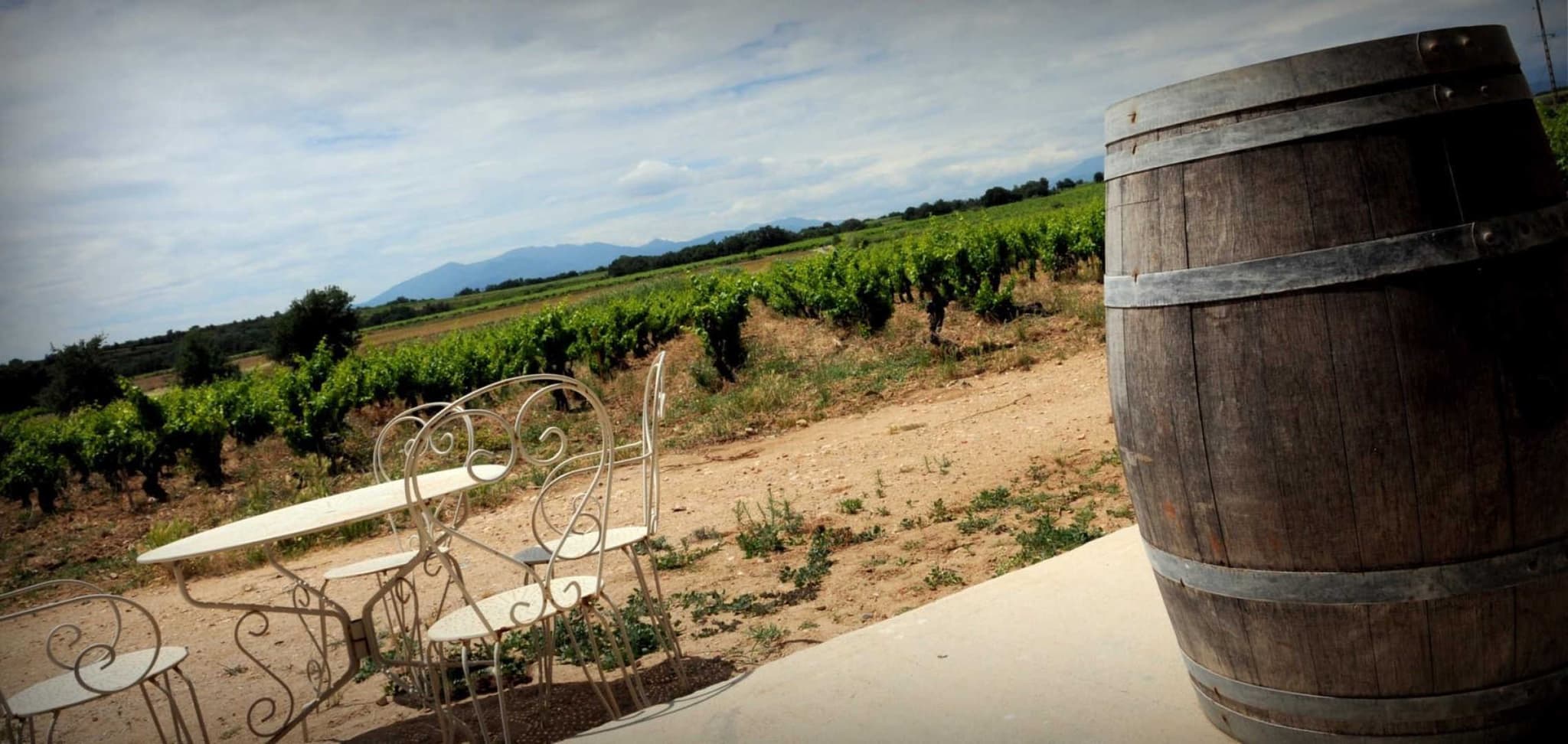 Le gîte du Mas Cambel_28