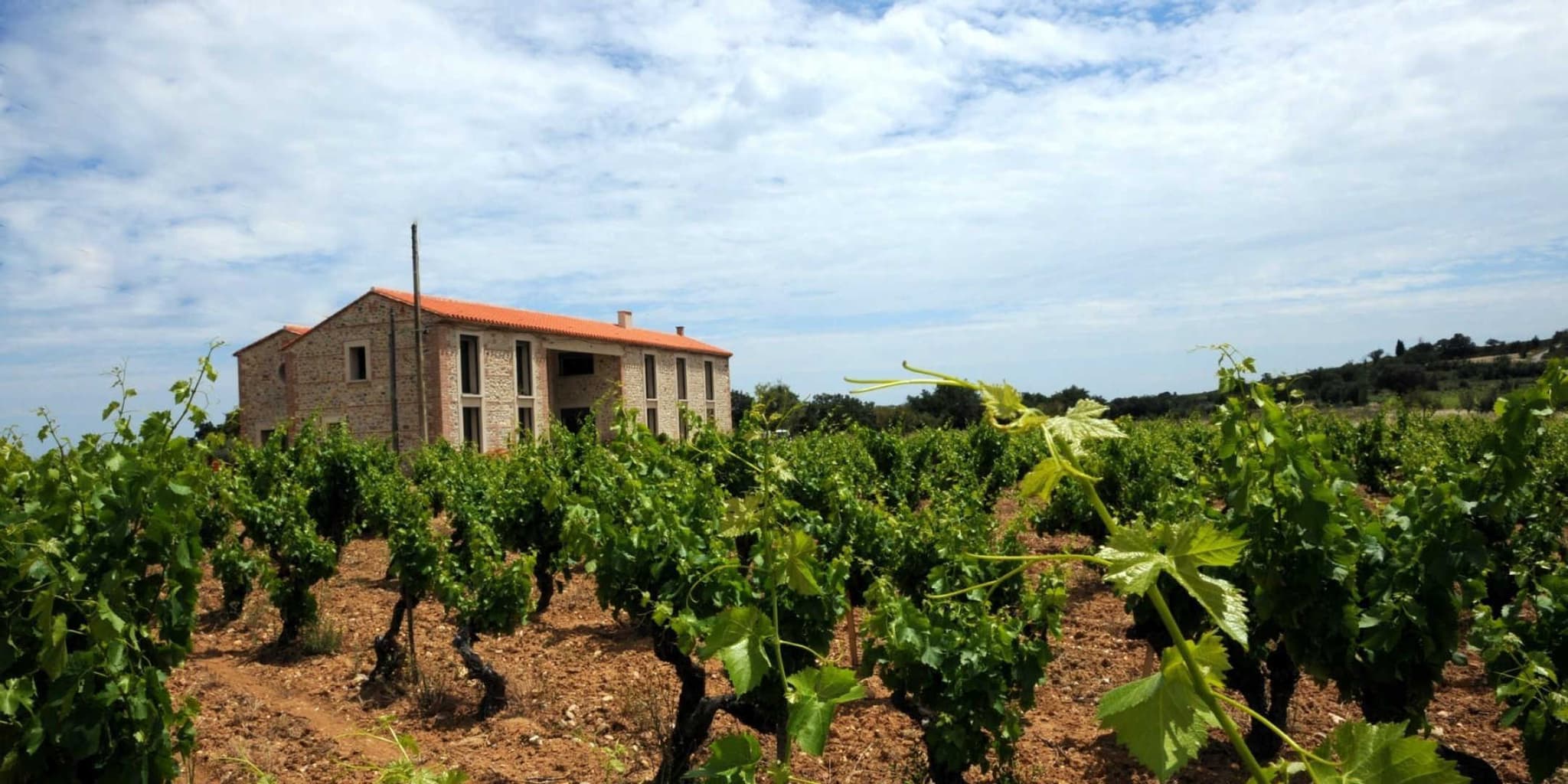 Le gîte du Mas Cambel_27