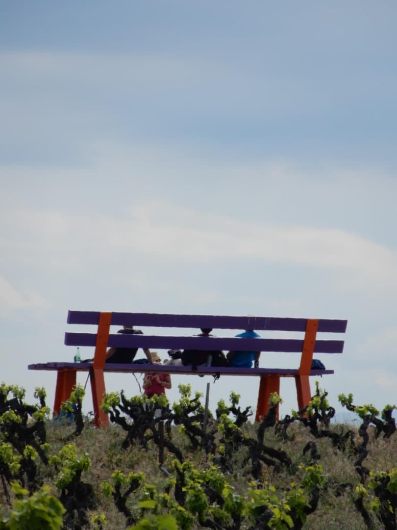 La maison des vendangeurs_38