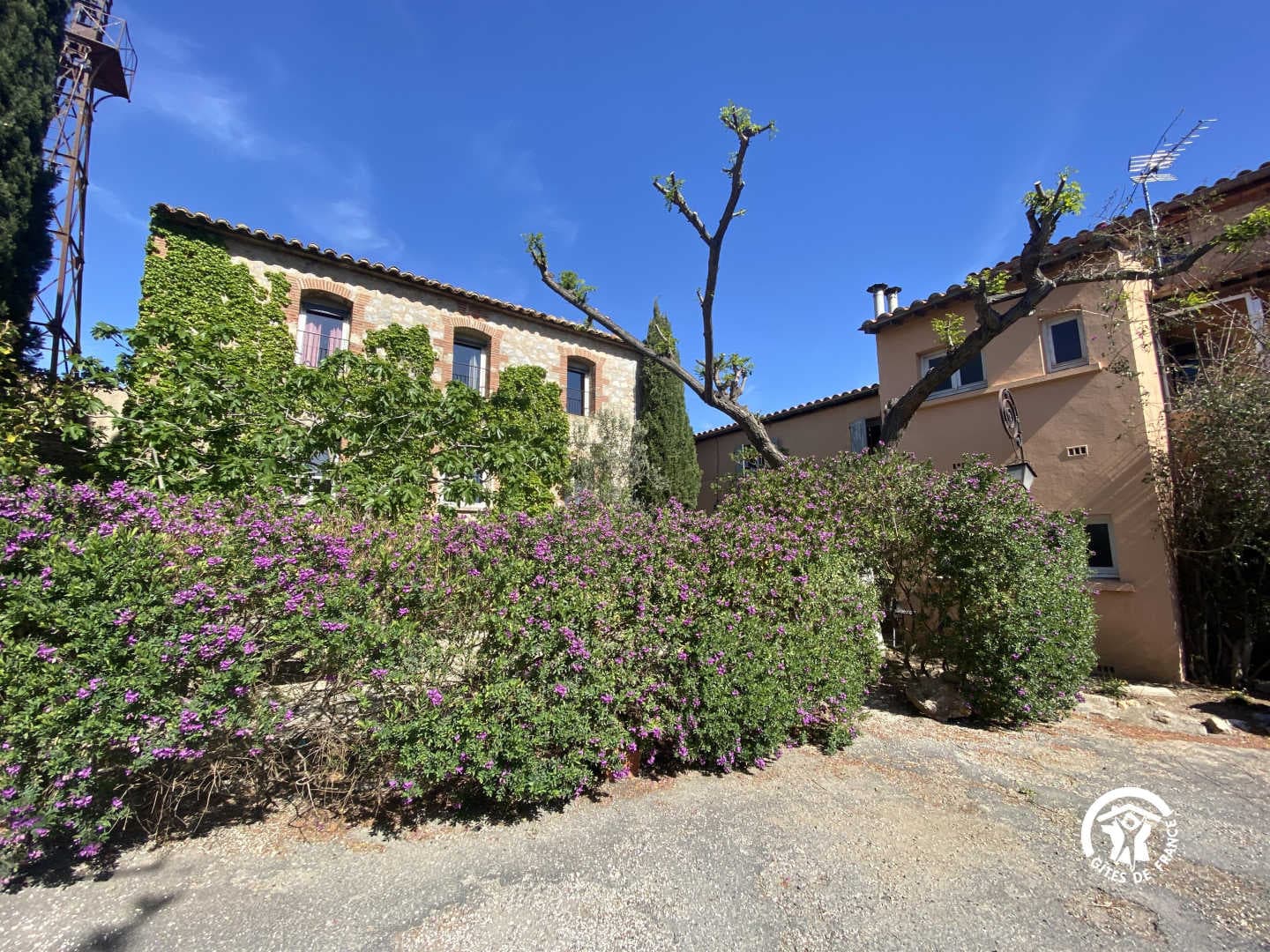 La maison des vendangeurs_36