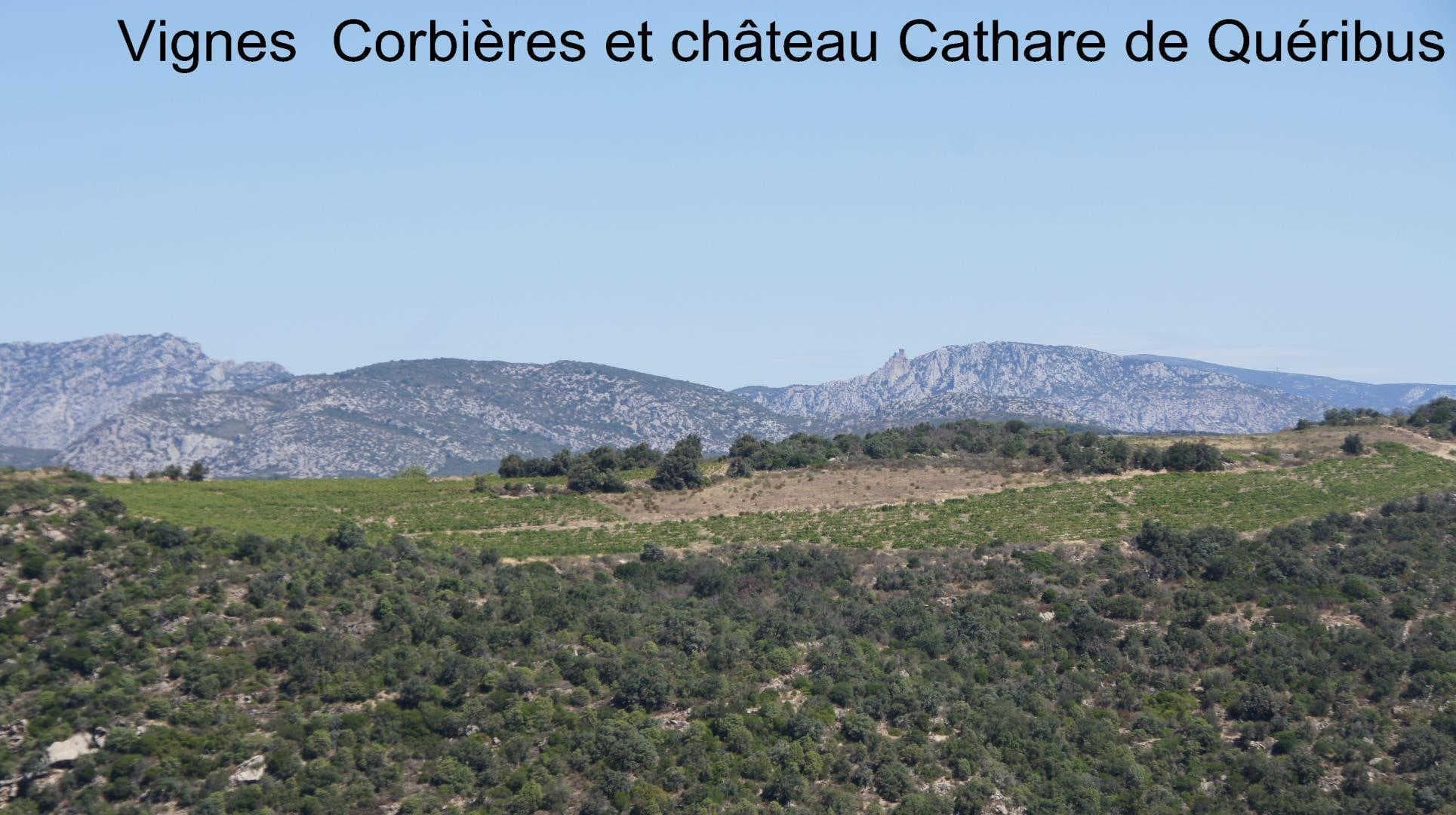 Gite de la borde_26