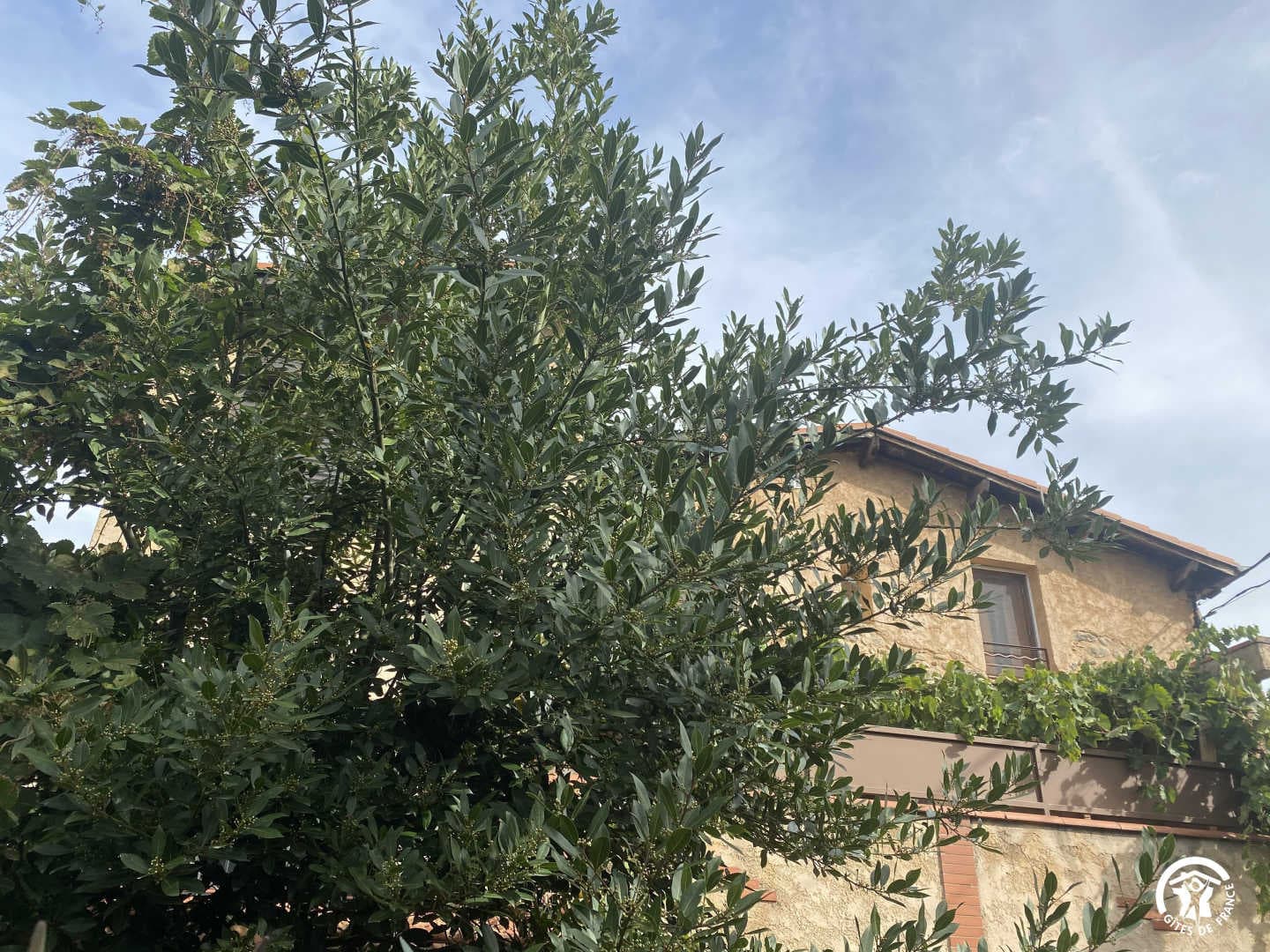 Gîte du Cady_3