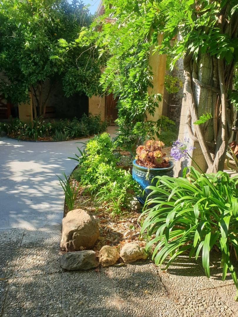 Gîte Les Vinyes_10