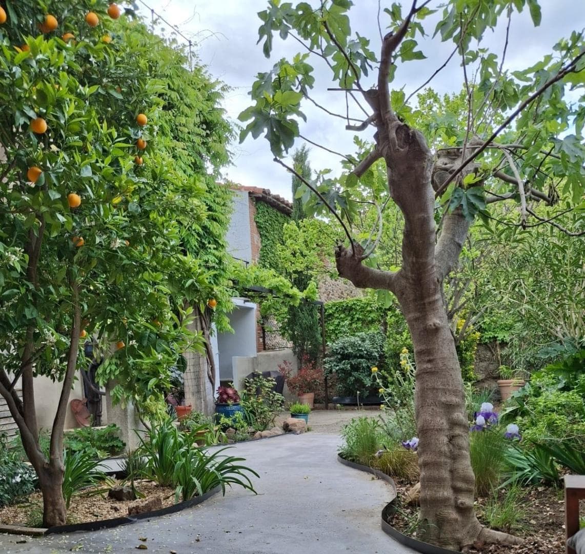 Gîte Les Vinyes_12