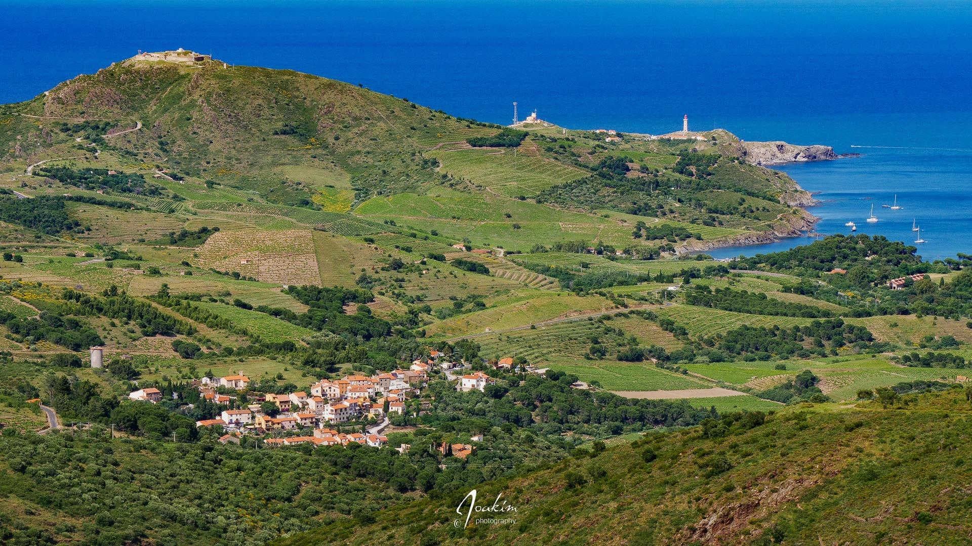Collioure_14