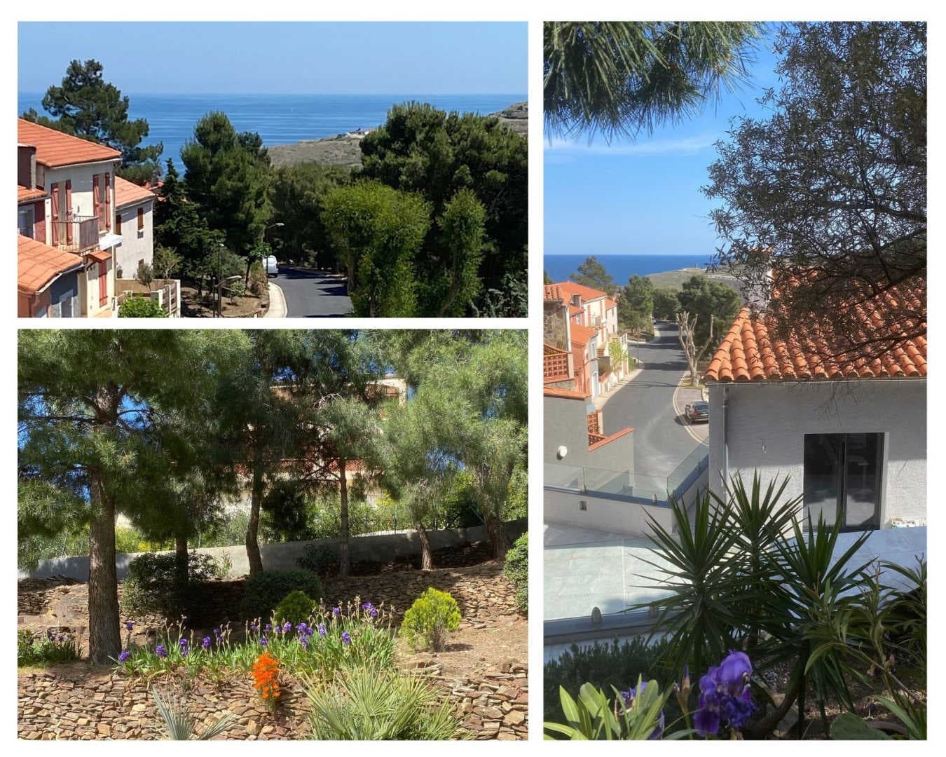Collioure_7