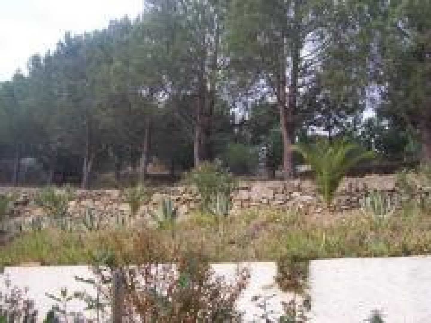 Mas boher_14