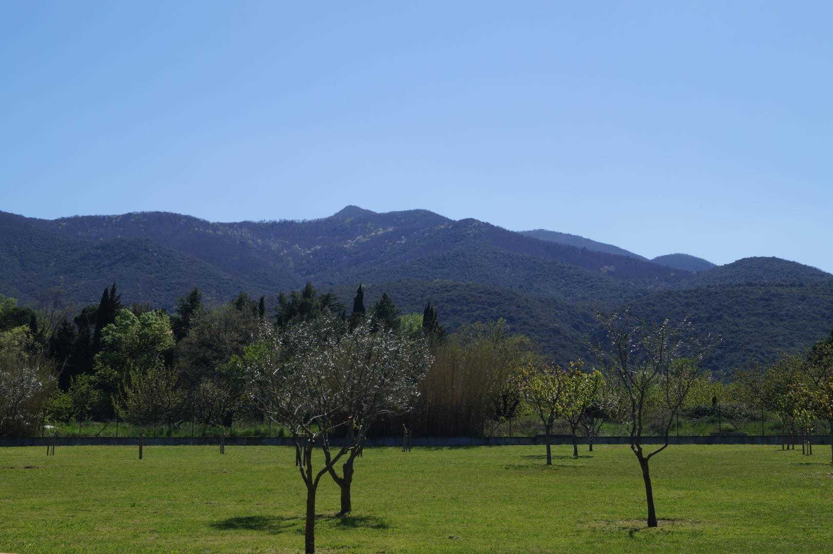 Les Pyrénées_15