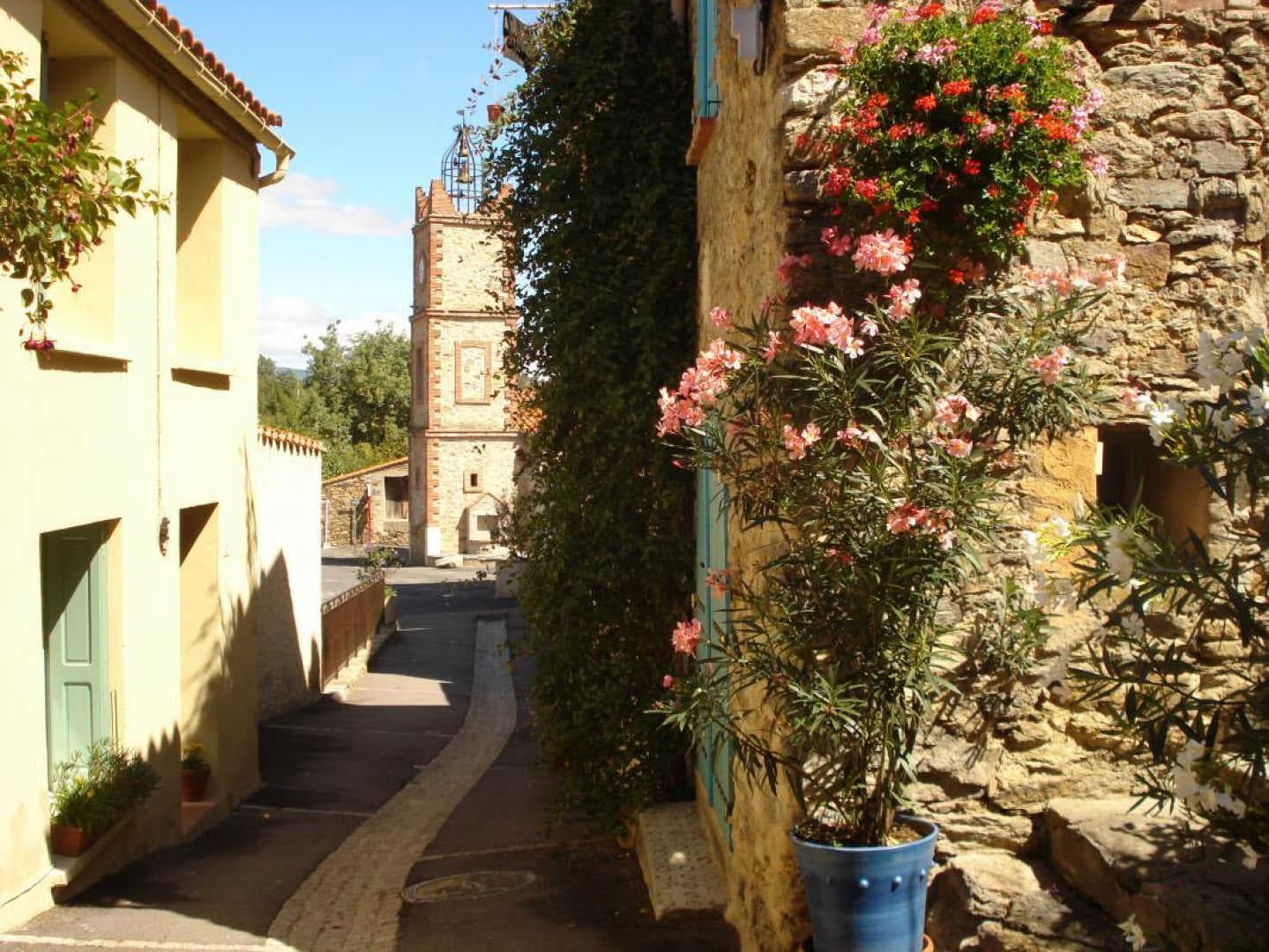 Le cortal_3